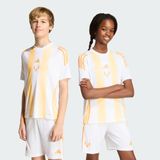 adidas Çocuk Messi Kids Antrenman Forması Futbol KD6406