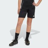 adidas Çocuk Tiro 25 Competition Kids Antrenman Şortu Futbol IW0443