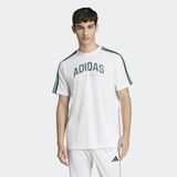 Adidas Codes Collegiate Linear Graphic Erkek Beyaz Tişört - JJ3868