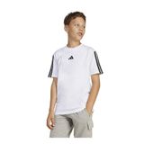 adidas Düz Beyaz Erkek Çocuk T-Shirt JD6488 J 3S TEE 160