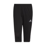 Adidas Ent22 3/4 Pnt Erkek Kapri Hb0576-siyah
