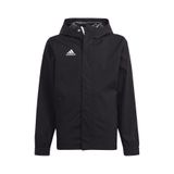 adidas Ent22 Aw Jkt Erkek Spor Ceketi IK4010 Siyah