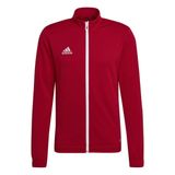 adidas Ent22 Tk Jkt erkek montu