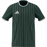 adidas ENT26 GFX JSY Erkek Forma DRKGRN/WHITE M