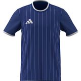 adidas ENT26 GFX JSY Erkek Forma ROYBLU/WHITE L