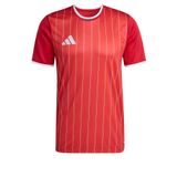 adidas ENT26 GFX JSY Erkek Forma TEPORE/WHITE M