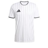 adidas ENT26 GFX JSY Erkek Forma WHITE/BLACK XL