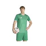 Adidas ENT26 GFX JSY Erkek Futbol Forması KB3970 Yeşil