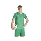 Adidas ENT26 GFX JSY Erkek Futbol Forması KB3970 Yeşil