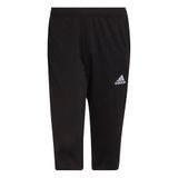 Adidas Entrada 22 3/4 erkek pantolonu