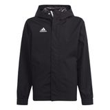 adidas Entrada 22 All Weather Erkek Ceket Siyah M