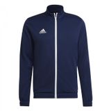 adidas Entrada 22 erkek montu