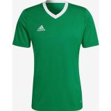 Adidas Entrada 22 Jersey Adhı2123 Yesil Erkek Forma