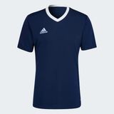 Adidas Entrada 22 Jersey Erkek Forma