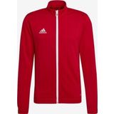 Adidas Entrada 22 Track Jacket Erkek Ceket H57537