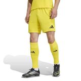 adidas Entrada26 erkek yetişkin şortu L