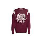 adidas Erkek Bordo Sweatshirt GRAPHIC REG JP JX8215