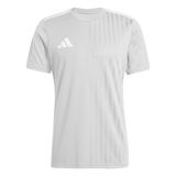 adidas Erkek CAMPEON25 JSY M Forma TMLGGR/WHITE L