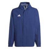 Adidas Erkek Ceketi, Team Navy Blue 2, M