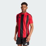 adidas Erkek Çizgili 24 Jarse Forma (Kısa Kollu) (1'li Paket)
