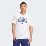 adidas Erkek Collegiate Lineage Graphic Tişört Gym & Training,Lifestyle JM6416