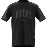 adidas Erkek Collegiate Tişört (1'li Paket)