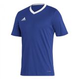adidas Erkek ENT22 JSY Forma ROYBLU S