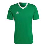 adidas Erkek ENT22 JSY Forma TEAGRN/WHITE L