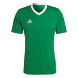 adidas Erkek ENT22 JSY Forma TEAGRN/WHITE S
