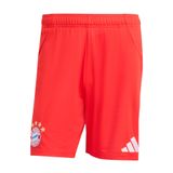 adidas Erkek FC Bayern Münih 25/26 iç saha şortu, Kırmızı, M