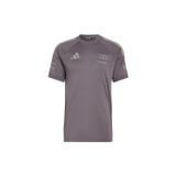 adidas Erkek Forma AU DR JSY SS RM KF0912