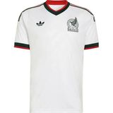 Adidas Erkek Forma Fmf A Jsy D JZ0736 - Beyaz