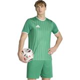 Adidas Erkek Futbol Forma ENT26 Gfx Jsy KB3970 - Yeşil