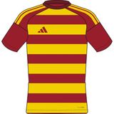 Adidas Erkek Futbol Forma HOOPED26 Jsy mt KW6578 - Sarı
