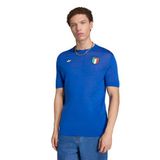 Adidas Erkek Futbol Forma İtalya 70S Jsy Jn3706