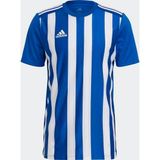 Adidas Erkek Futbol Forması Striped 21 Jsy Gh7321