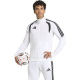 Adidas Erkek Futbol Mont Tiro26L Tr Jkt Kc1278