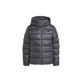 adidas Erkek Gri Ess Sd Puf Hd J Mont JX7787