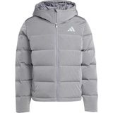 Adidas Erkek Gümüş Mont Holıday D Jkt JL5076 - 4XL