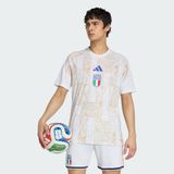 adidas Erkek İtalya 26 İç Saha Maç Öncesi Forma Futbol JY5633
