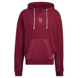 adidas Erkek kapüşonlu kazak, Burleg, XL