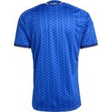 Adidas Erkek Mavi Forma Fıgc H Jsy JL6937