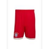 adidas Erkek Şort FCB H SHO JZ3060