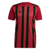 adidas Erkek Striped 21 Jsy Forma, Tmpwrd/Black, L