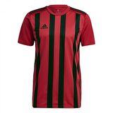 adidas Erkek Striped 21 Jsy Forma, Tmpwrd/Black, M