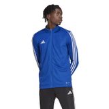 adidas Erkek Tracksuit Ceket Tiro 23 League Training Track Top, Team Royal Blue, HS3505, M
