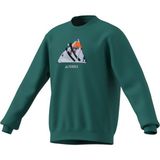 adidas Erkek Yeşil Sweatshirt SNOW CREW KE2319