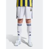 adidas Fenerbahçe 25-26 Erkek Beyaz İç Saha Futbol Şortu.- - XL