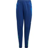 Adidas Fıgc Tr Pnty Pantolon Iq2161