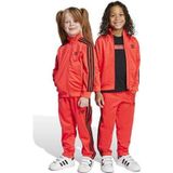 adidas Firebird Ts Çocuk Günlük Eşofman Altı JY1146 Kırmızı